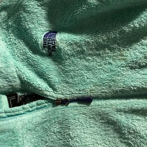 Turquoise north face sweatshirt